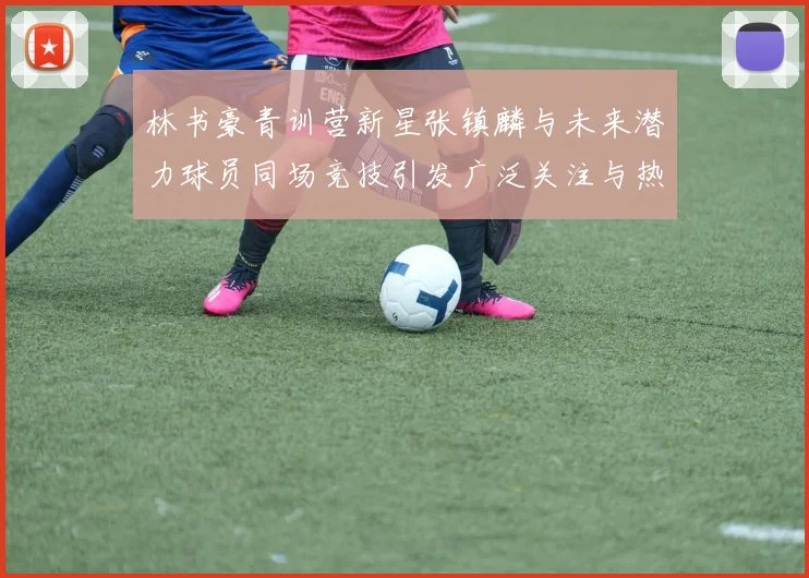 林书豪青训营新星张镇麟与未来潜力球员同场竞技引发广泛关注与热议