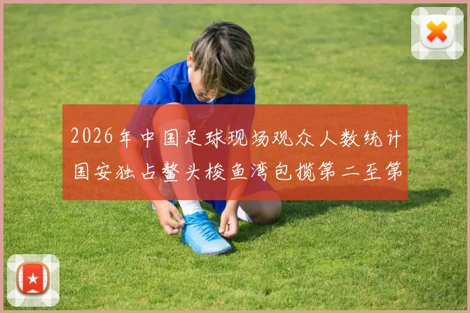 2026年中国足球现场观众人数统计国安独占鳌头梭鱼湾包揽第二至第七位