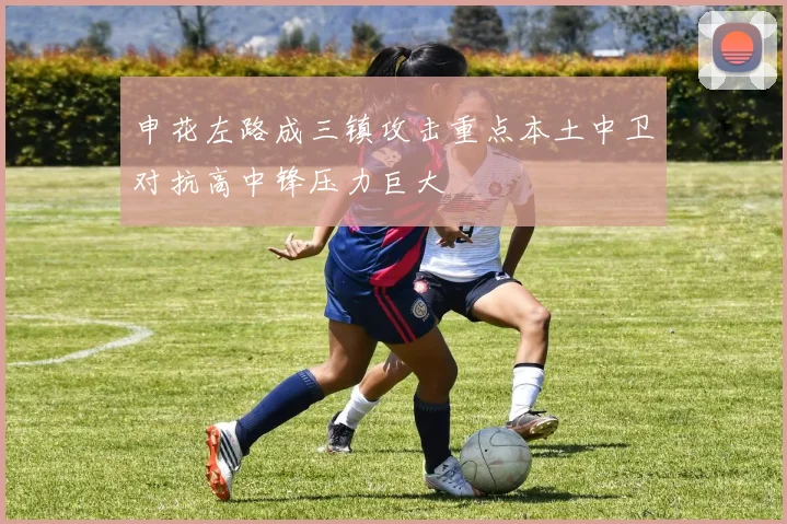 申花左路成三镇攻击重点本土中卫对抗高中锋压力巨大