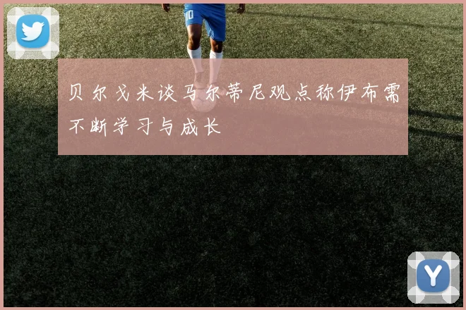 贝尔戈米谈马尔蒂尼观点称伊布需不断学习与成长